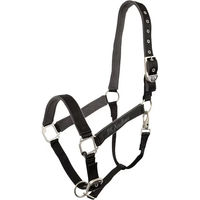 Produktbild von BR Equitation Xcellence Halfter aus Fleece für Vollblut in Schwarz