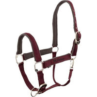 Produktbild von BR Equitation Xcellence Halfter aus Fleece in Braun