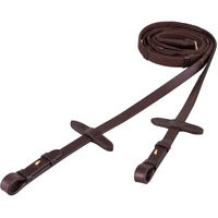 Produktbild von BR Gurtzügel für Warmblut mit Zaumhaken in Braun und Gold 19 mm