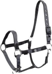 BR Halfter Dayla aus Leder in Grau oder Schwarz – Bild 1 von 2