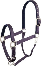BR Halfter Event aus Nylon für Warmblut in Lila-Blau – Bild 1 von 2