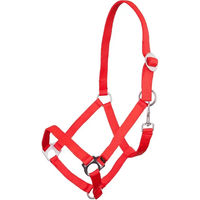 Produktbild von BR Halfter für Warmblut in Rot aus Kunststoff