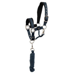 BR Halfter Mini mit Anbindestrick aus Neopren für Shetty in Blau – Bild 1 von 1