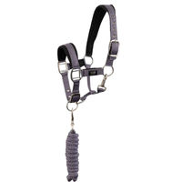 Produktbild von BR Halfter und Strick Set Cadet für Ponys aus Neopren in Grau