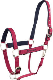 BR Halfter Xcellence Anemone für Ponys aus Polypropylen – Bild 1 von 1