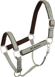 BR Halfter Xcellence Iceberg Green Full aus Polypropylen – Bild 1 von 1