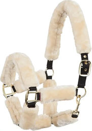 BR Premiere Equitation Gepolstertes Pony Halfter aus Polyester – Bild 1 von 2