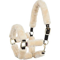 Produktbild von BR Premiere Equitation Gepolstertes Pony Halfter aus Polyester
