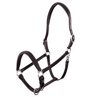 Produktbild von BR Premiere Lederhalfter Florennes für Warmblut in Größe Full