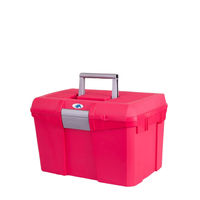 Produktbild von BR Putzbox Carlo II Raspberry aus Kunststoff in Rot und Rosa