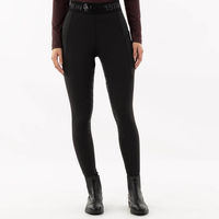 Produktbild von BR Reithose Damen Winter Fullgrip Faiga mit Silikonbesatz Meteorite Größe 38