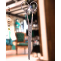 Produktbild von BR Schere gebogen schmal aus Edelstahl für die Fellpflege in Silber
