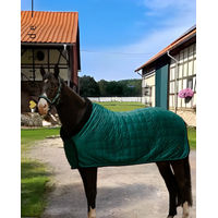 Produktbild von BR Showdecke CLX Grün