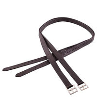 Produktbild von BR Steigbügelriemen aus Leder und Nylon Schwarz 160cm - 160 cm
