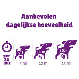 Braaaf Lachsöl und Schaffett Duo Haut-Fell-Supplement für Hunde und Katzen 4 x 500 ml – Bild 1 von 2