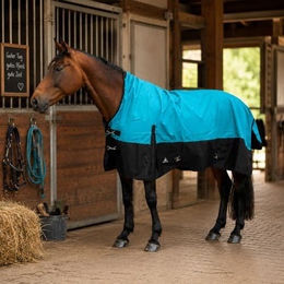 Brama-West Solano Turnout Winterdecke für Pferde High Neck 1200D Ripstop Aqua/Schwarz Gr. 165 – Bild 1 von 7