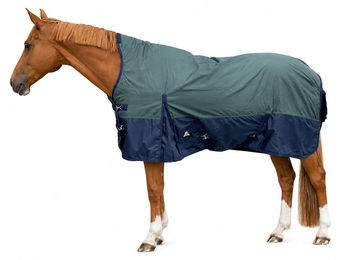 Brama-West Winterdecke Borea Turnout 1680D 200GSM für Pferde Grün/Navy 135 cm – Bild 1 von 1