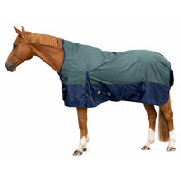 Produktbild von Brama-West Winterdecke Borea Turnout 1680D 200GSM für Pferde Grün/Navy 155 cm