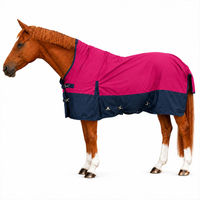 Produktbild von Brama-West Winterdecke Caruso Turnout 1680D 100GSM für Pferde Raspberry/Navy 115 cm