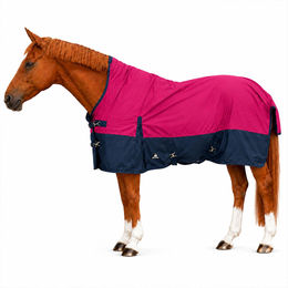 Brama-West Winterdecke Caruso Turnout 1680D 100GSM für Pferde Raspberry/Navy 145 cm – Bild 1 von 1
