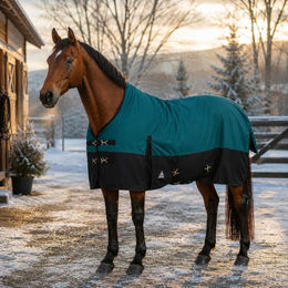 Brama-West Winterdecke Florie Pferdedecke Turnout High Neck 100g Petrol/Schwarz Gr. 145 – Bild 1 von 1