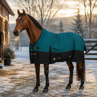 Produktbild von Brama-West Winterdecke Florie Pferdedecke Turnout High Neck 1200D 100g Petrol/Schwarz Größe 155