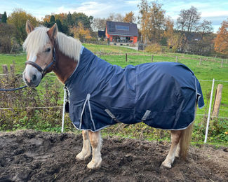 Brama-West Winterdecke Nell Pferdedecke 1680D 145 cm – Bild 1 von 1