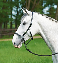 BRAND Lederhalfter für Warmblut in Schwarz mit silbernen Beschlägen – Bild 1 von 2