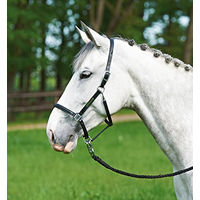 Produktbild von BRAND Lederhalfter für Warmblut in Schwarz mit silbernen Beschlägen