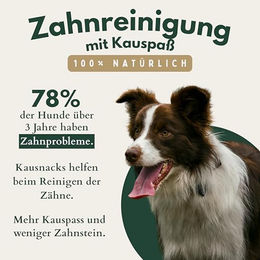 Produktbild von BREER'S PET FOOD Hundesnack Rind Stückchen getreidefrei und ohne Konservierungsstoffe 500g