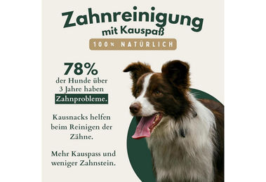 Produktbild von Breers Pet Food Ochsenziemer getrocknet 12 cm 1 kg Kausnack für Hunde getreidefrei und zuckerfrei