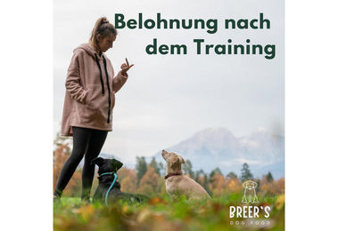 Breers Pet Food Ochsenziemerbruch getrocknet Hundeleckerli getreidefrei und zuckerfrei 2 kg – Bild 1 von 3