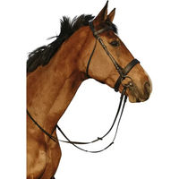 Produktbild von Breite Trense aus Leder von Riding World in Schwarz