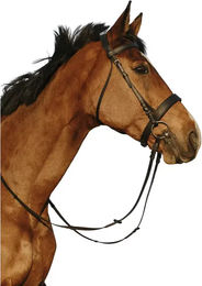 Produktbild von Breite Trense aus Leder von Riding World in Schwarz für Vollblut