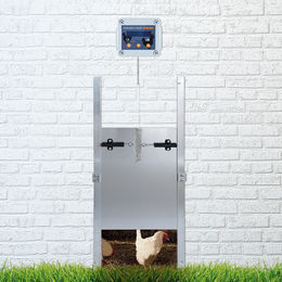 Breker Automatische Hühnerklappe mit Zeitschaltuhr und Selbstverriegelung aus Aluminium 30 x 40 cm – Bild 1 von 5