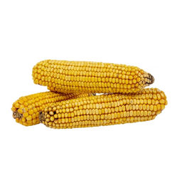 Produktbild von Breker Maiskolben für Nager 400 g