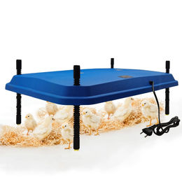 Breker Wärmeplatte für Küken und Geflügel aus Kunststoff 40 x 60 cm Blau – Bild 1 von 5