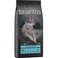 Produktbild von Briantos Adult Hundefutter Lachs Getreidefrei 2 x 12 kg - 2 x 12 kg