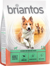 Produktbild von Briantos Adult Sensitive Hundefutter Lamm & Reis Monoprotein 4 x 1 kg - 4 x 1 kg