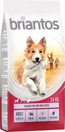 Produktbild von Briantos Hundefutter Adult Lachs & Reis ohne Farb- und Aromastoffe 14 kg - 14 kg
