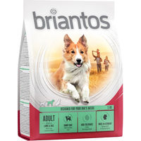 Produktbild von Briantos Hundefutter Adult Lamm & Reis ohne Farb- und Aromastoffe 1 kg - 4 x 1 kg