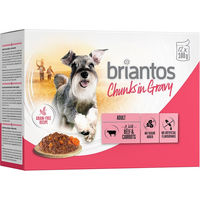 Produktbild von Briantos Hundefutter Stückchen in Sauce Rind & Karotten Adult Getreidefrei 48 x 100 g