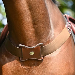 Bricole Jump'In elastisches Reitband – Bild 1 von 1
