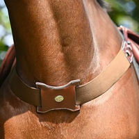 Produktbild von Bricole Jump'In elastisches Reitband
