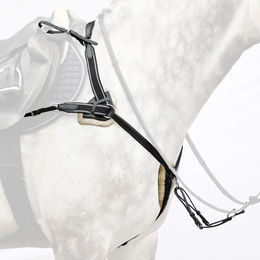 Produktbild von Bridlery Deluxe Jagdhalsband für Pferde aus Leder in Schwarz