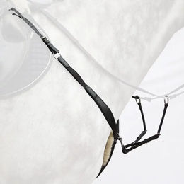 Produktbild von Bridlery Dynamic Jagdhalsband für Pferde in Schwarz