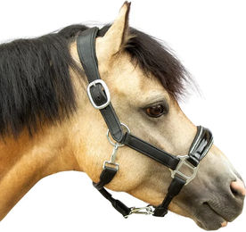 Produktbild von Bridlery Eternity Hanf-Ponyhalfter aus Leder in Schwarz