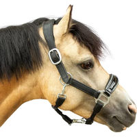 Produktbild von Bridlery Eternity Hanf-Ponyhalfter aus Leder in Schwarz