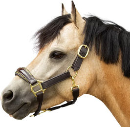 Produktbild von Bridlery Eternity Hanf Trense aus Leder für Ponys in Braun