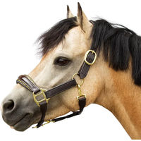 Produktbild von Bridlery Eternity Hanf Trense aus Leder für Ponys in Braun